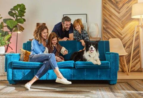 How to cool down a dog - picture of a family with a border collie on the couch